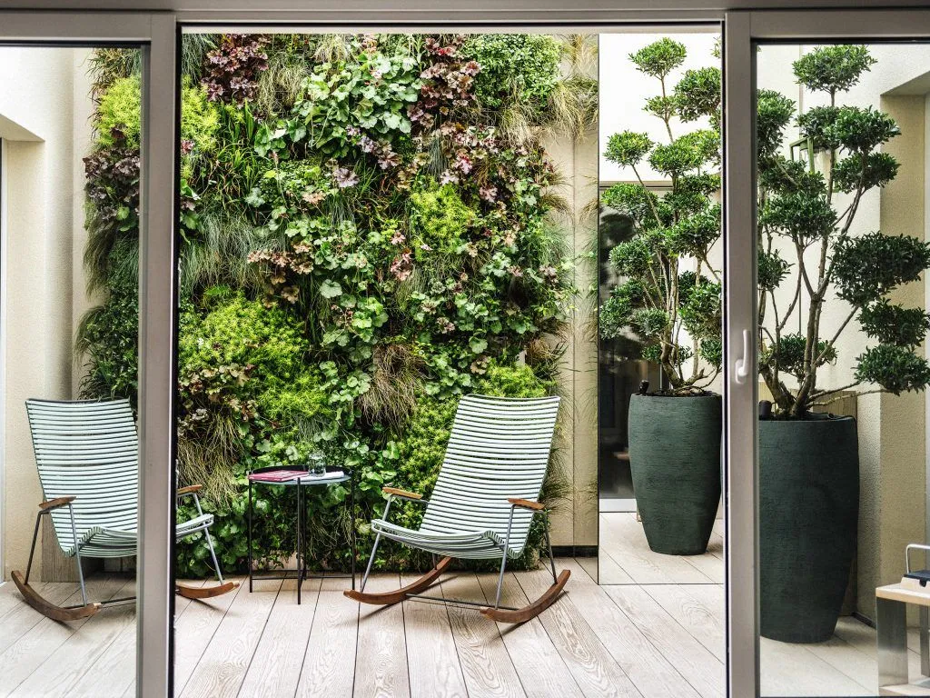 amenagement-patio-chataignier-01-mur-vegetal