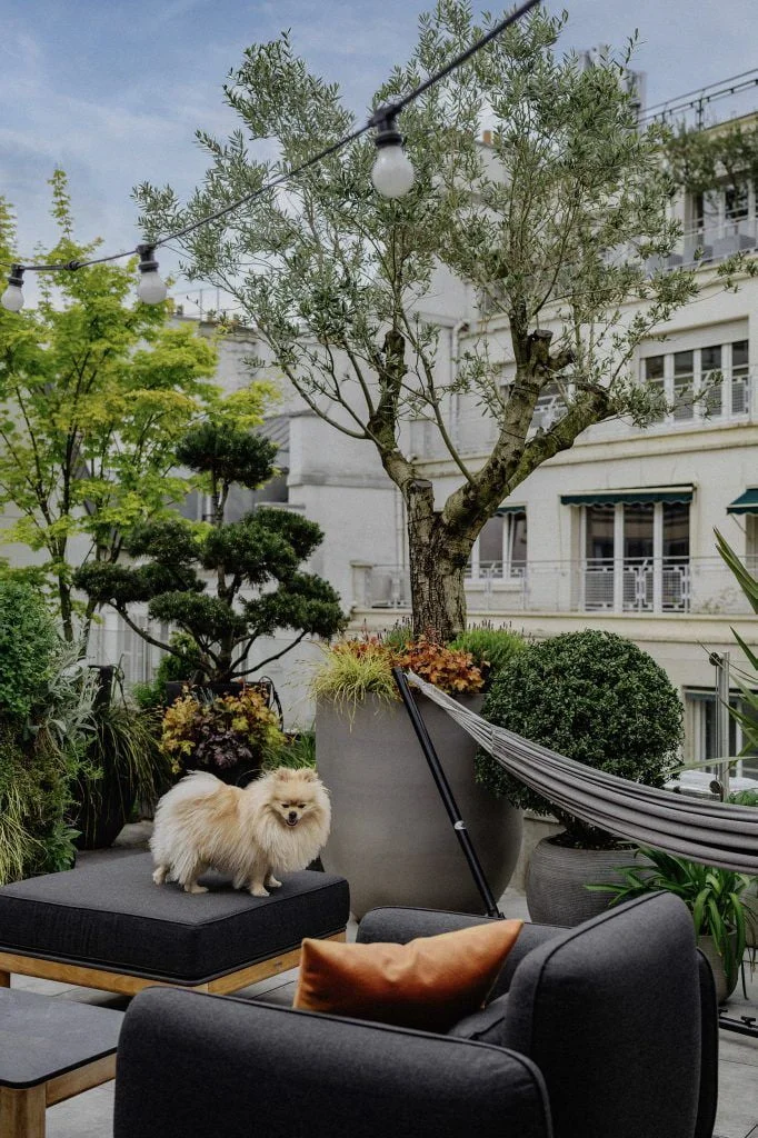 amenagement-toit-terrasse-gautier-02-paysagiste-paris