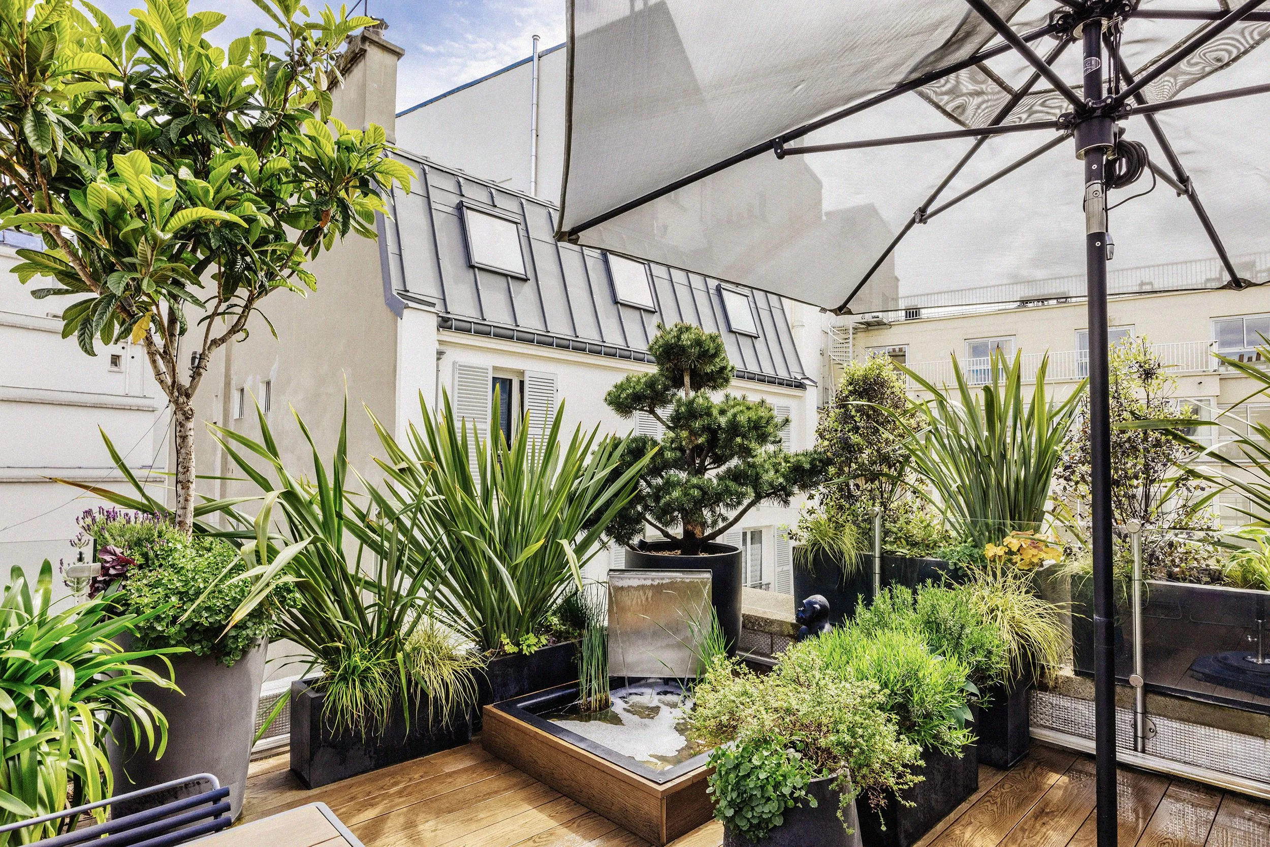 amenagement-toit-terrasse-gautier-05-architecte-paysagiste-vegetaux-paris