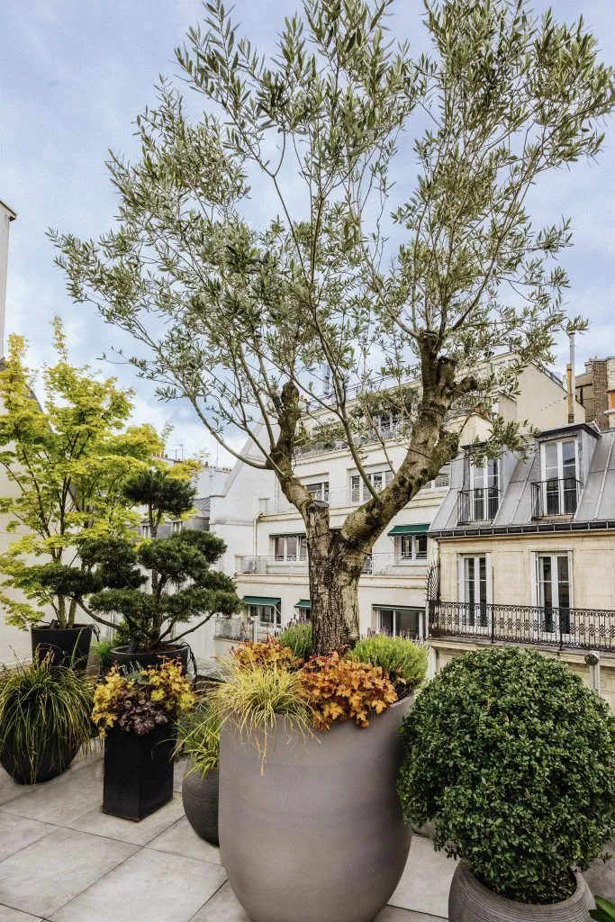 amenagement-toit-terrasse-gautier-12-paris
