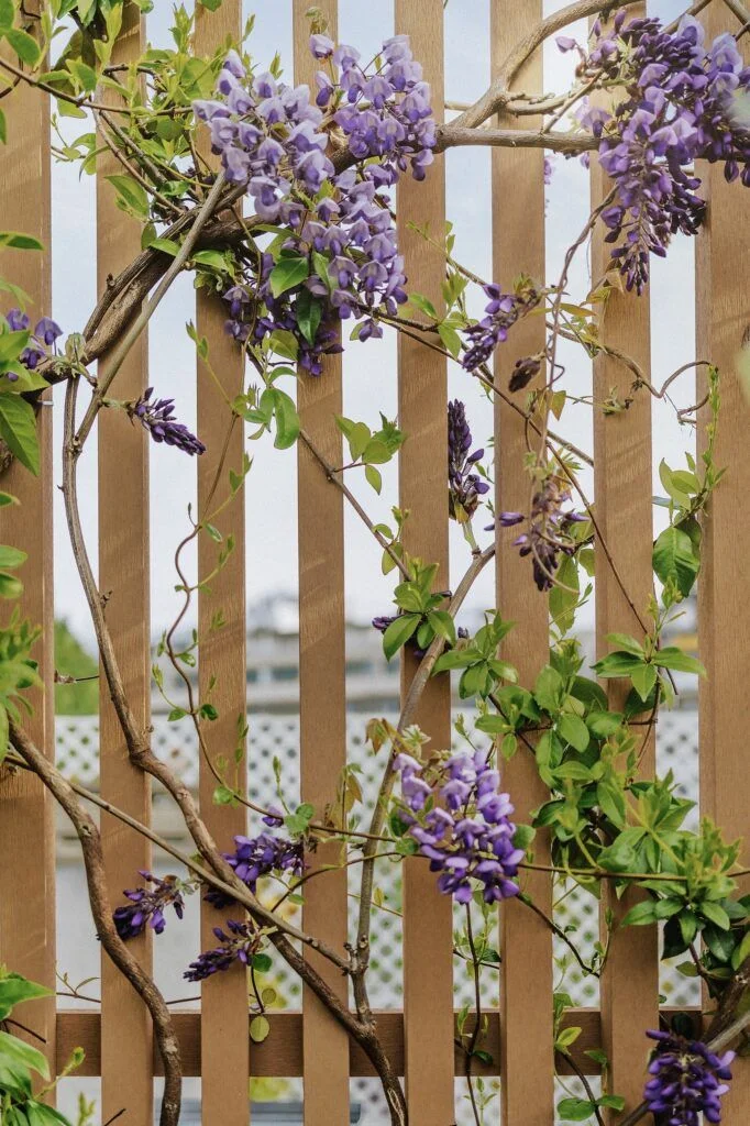 amenagement-toit-terrasse-lemaire-02-paysagiste-paris