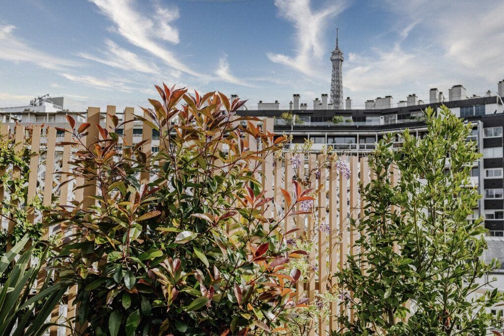 amenagement-toit-terrasse-lemaire-04-paris-paysagiste
