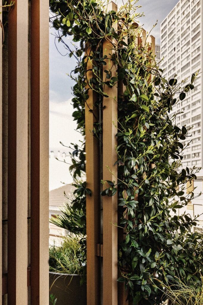 amenagement-toit-terrasse-lemaire-16-vegetaux-paysagiste