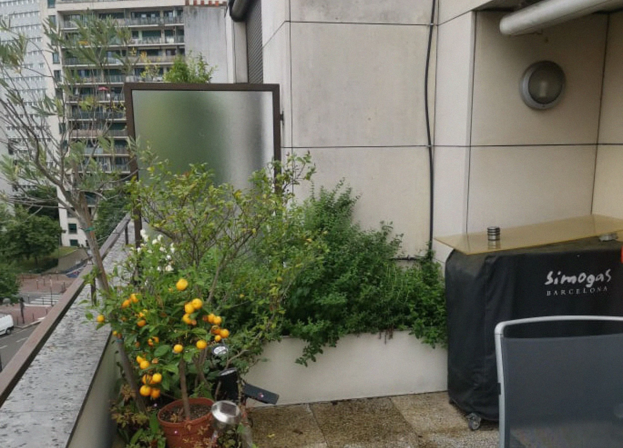 amenagement-toit-terrasse-lemaire-01-avant-paris