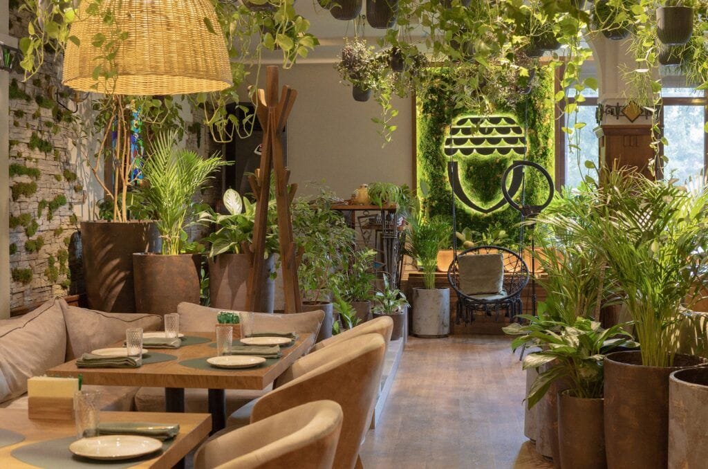interieur-restaurant-mur-vegetal-paris
