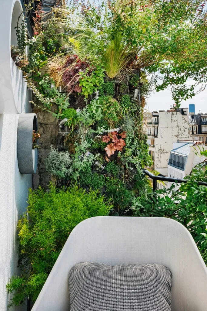 amenagement-paysagiste-mur-vegetal-vegetalisation-mur-vegetal