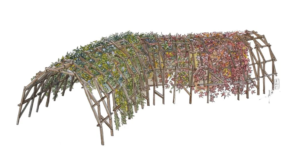 aquarelle d'une ombriere en bois pour jardin