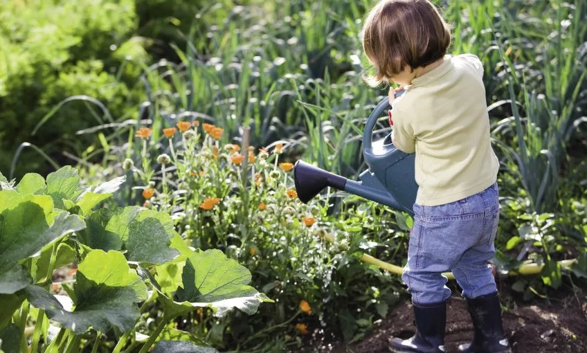 arroser-plantes-exterieur
