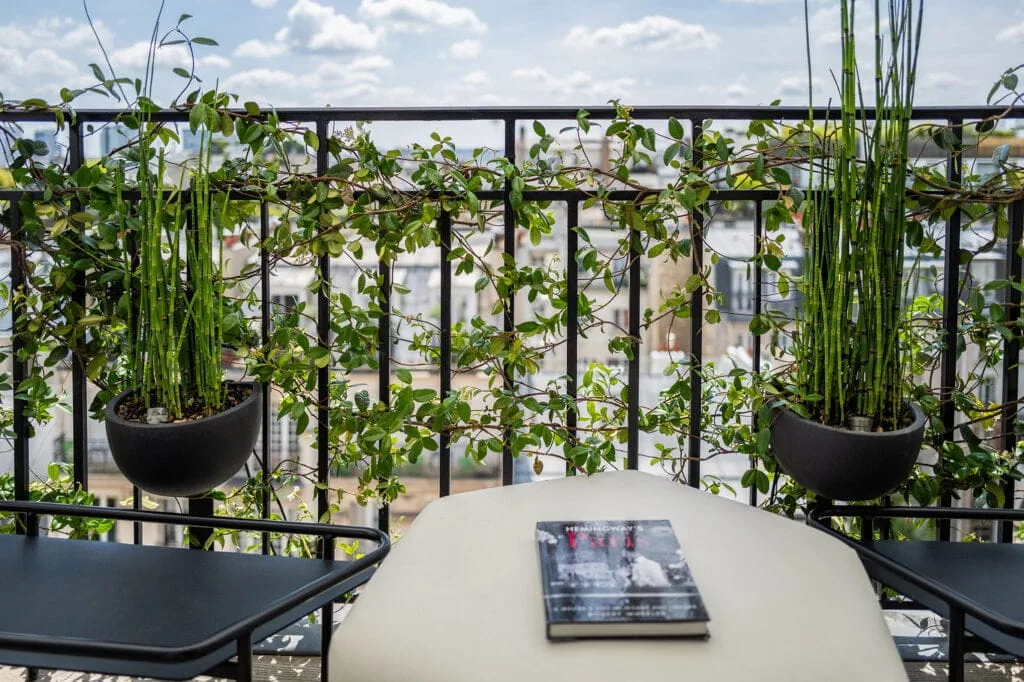 balcon-vegetaux-architecte-paysagiste-vegetalisation