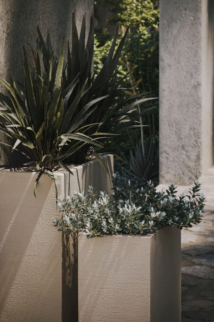 Jardinières Domani en acier thermolaqué et Phormium sur une terrasse en pierre à Paris.