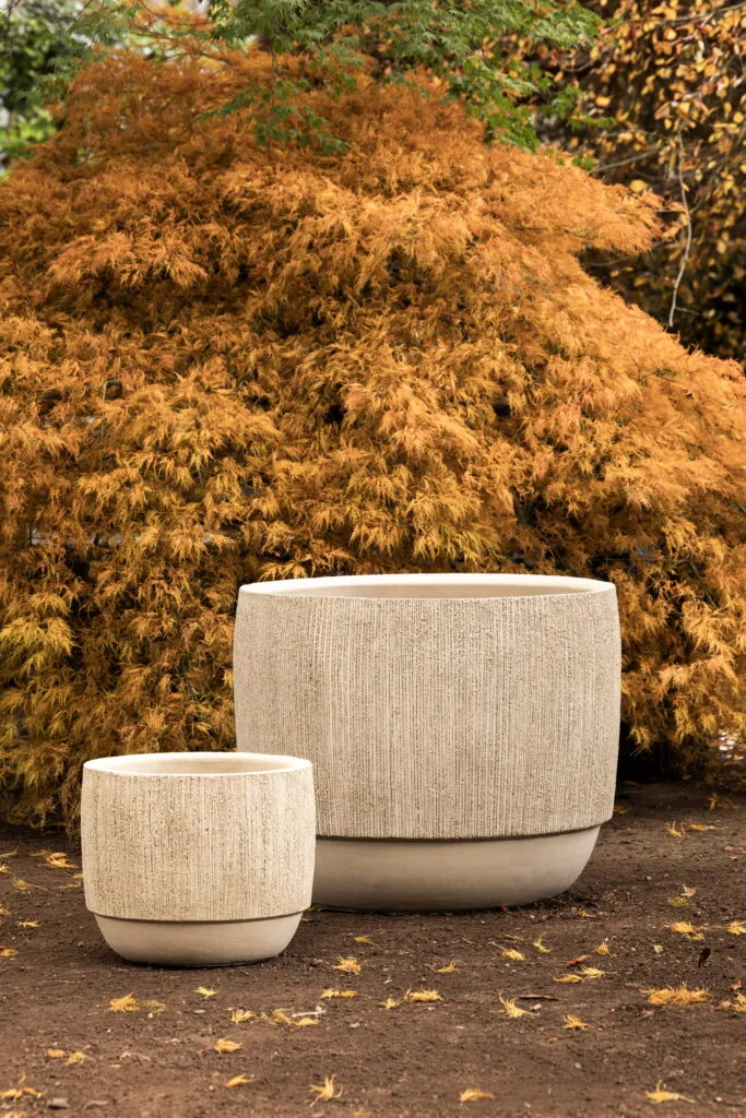 Pots Domani collection Moya en terre cuite texture Raku devant un érable du Japon.