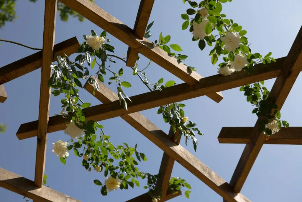 pergola en bois Sinallagma