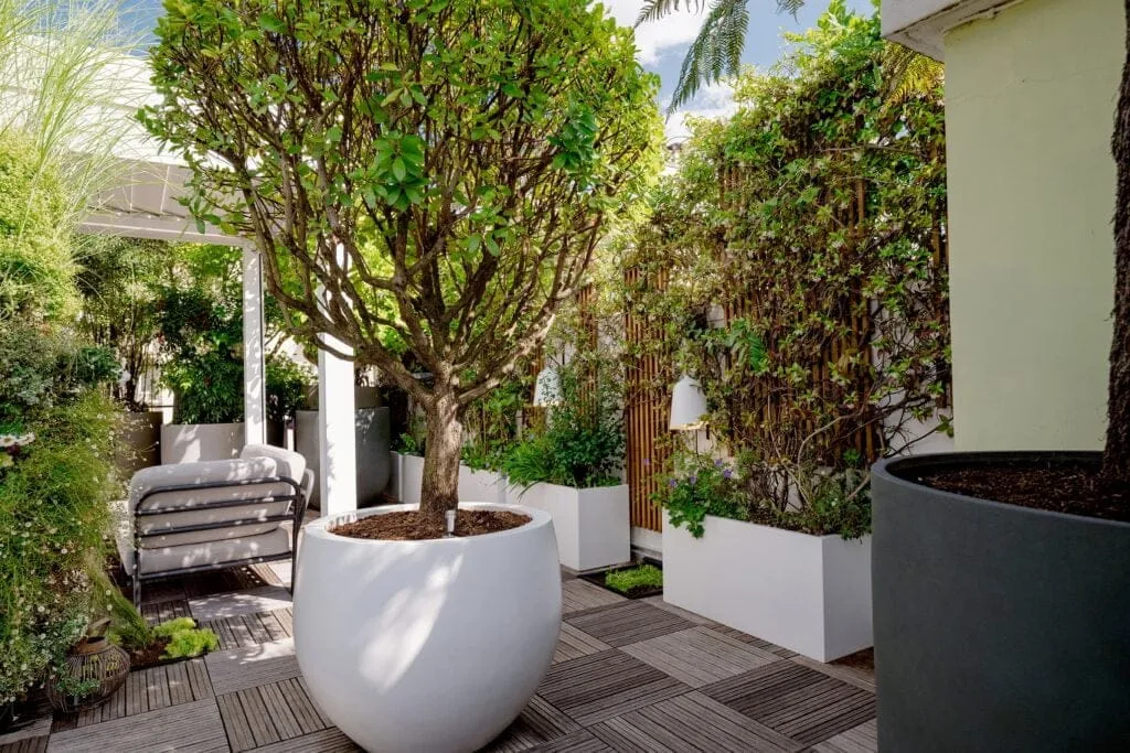 pot-vegetaux-architecte-paysagiste-neuilly-toit-terrasse
