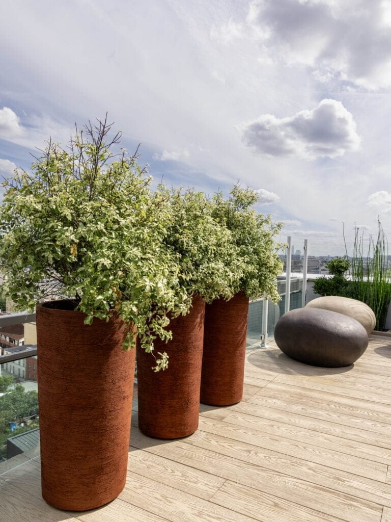 pots de grande taille pour rooftop