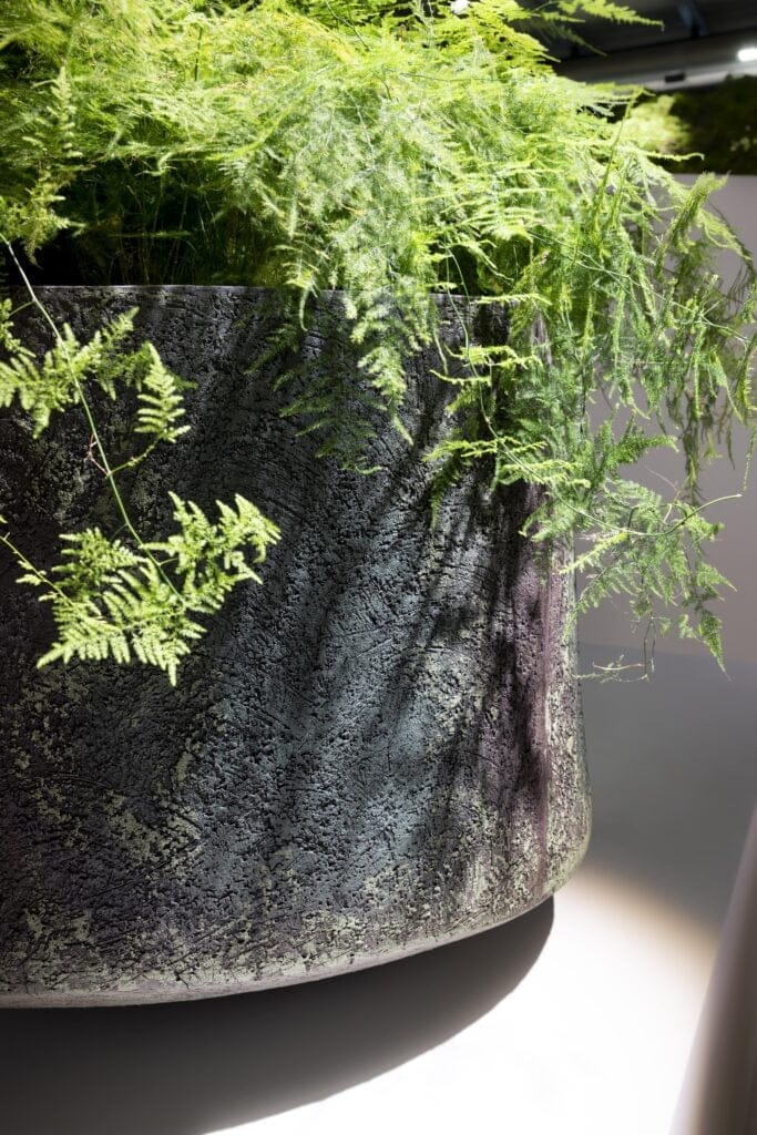 pot noir design pour végétaux