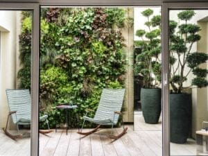 premiere-photo-realisation-patio-vegetaux-paysagiste-paris