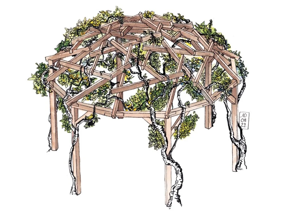 aménagement extérieur ombrière en bois