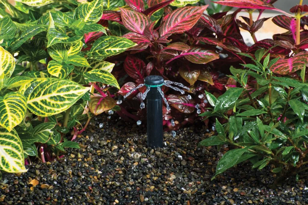 arrosage automatique pour les espaces extérieurs