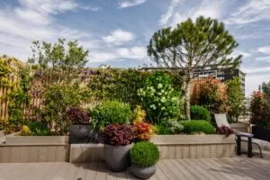 photo qui represente des végétaaux sur un toit-terrasse parisien