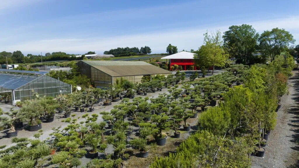 aménagement de jardin végétaux