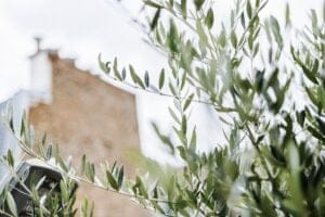 architecte-paysagiste-vegetaliser-ville