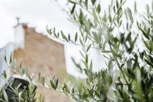 architecte-paysagiste-vegetaliser-ville