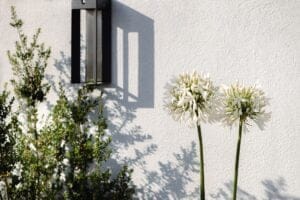 terrasse-ecologique-paysagiste-paris