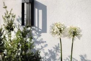 terrasse-ecologique-paysagiste-paris