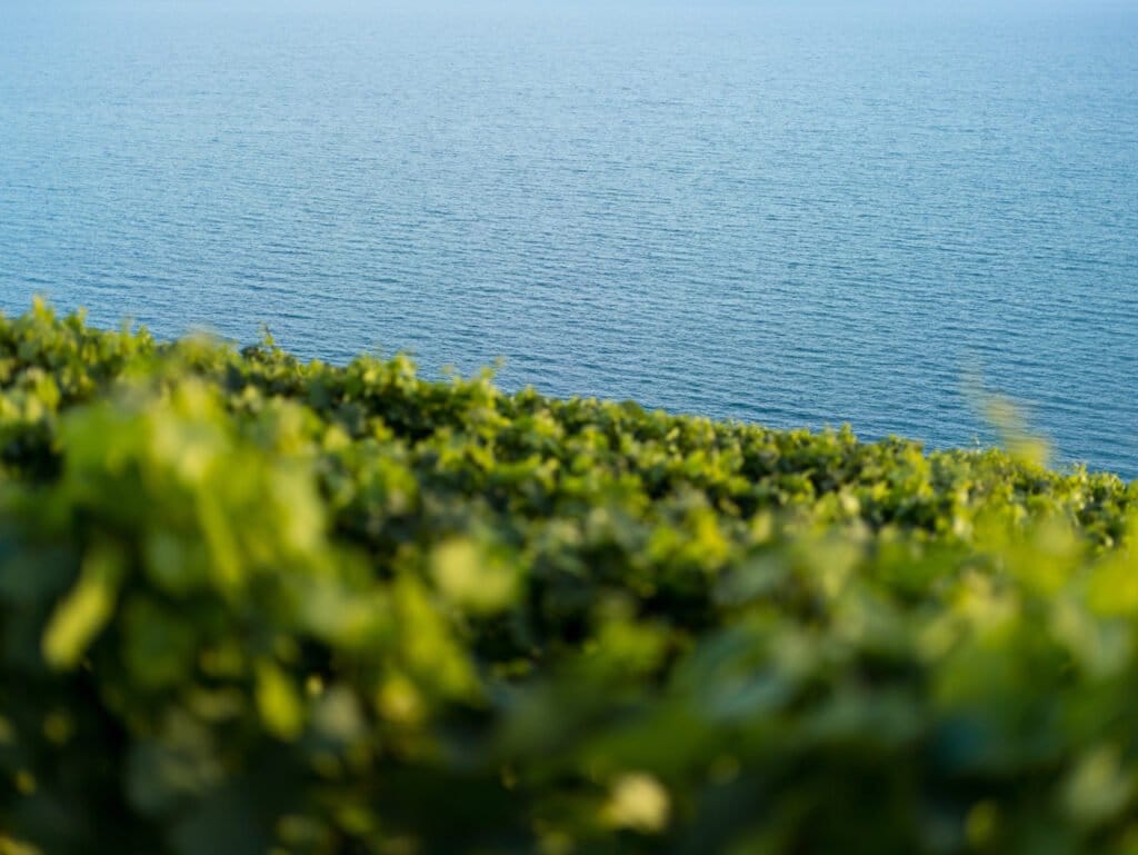 jardin-en-bord-de-mer