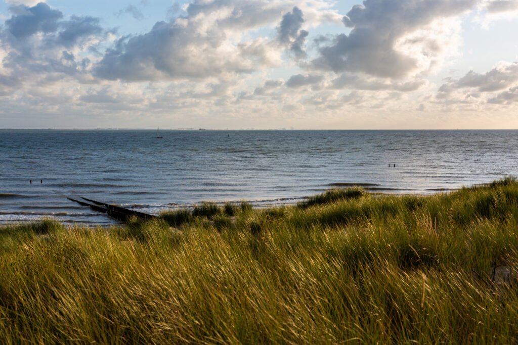 Photo d'un jardin en bord de mer