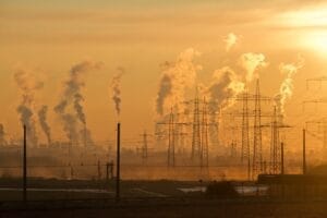 plants-facing-hydrocarbons