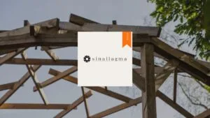 sinallagma-partenaire