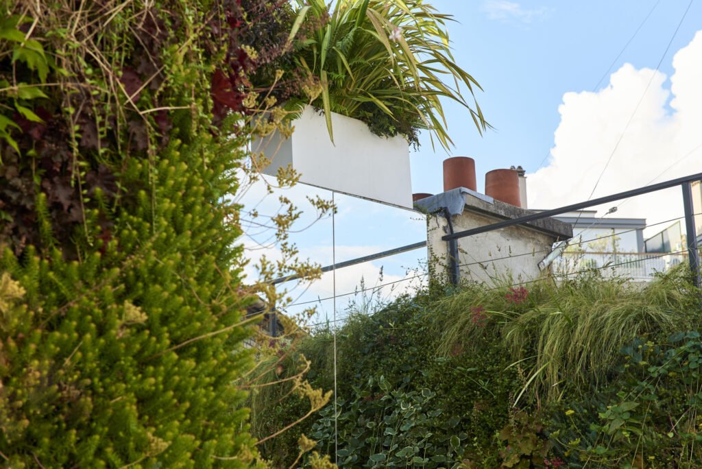 photo de végétaux sur un toit-terrasse