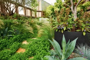 photo qui montre un toit-terrasse végétalisé réalisé par nos architectes paysagistes