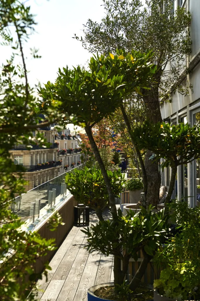 Photo de végétaux dans un pot Domani bleu sur une terrasse à Paris 8