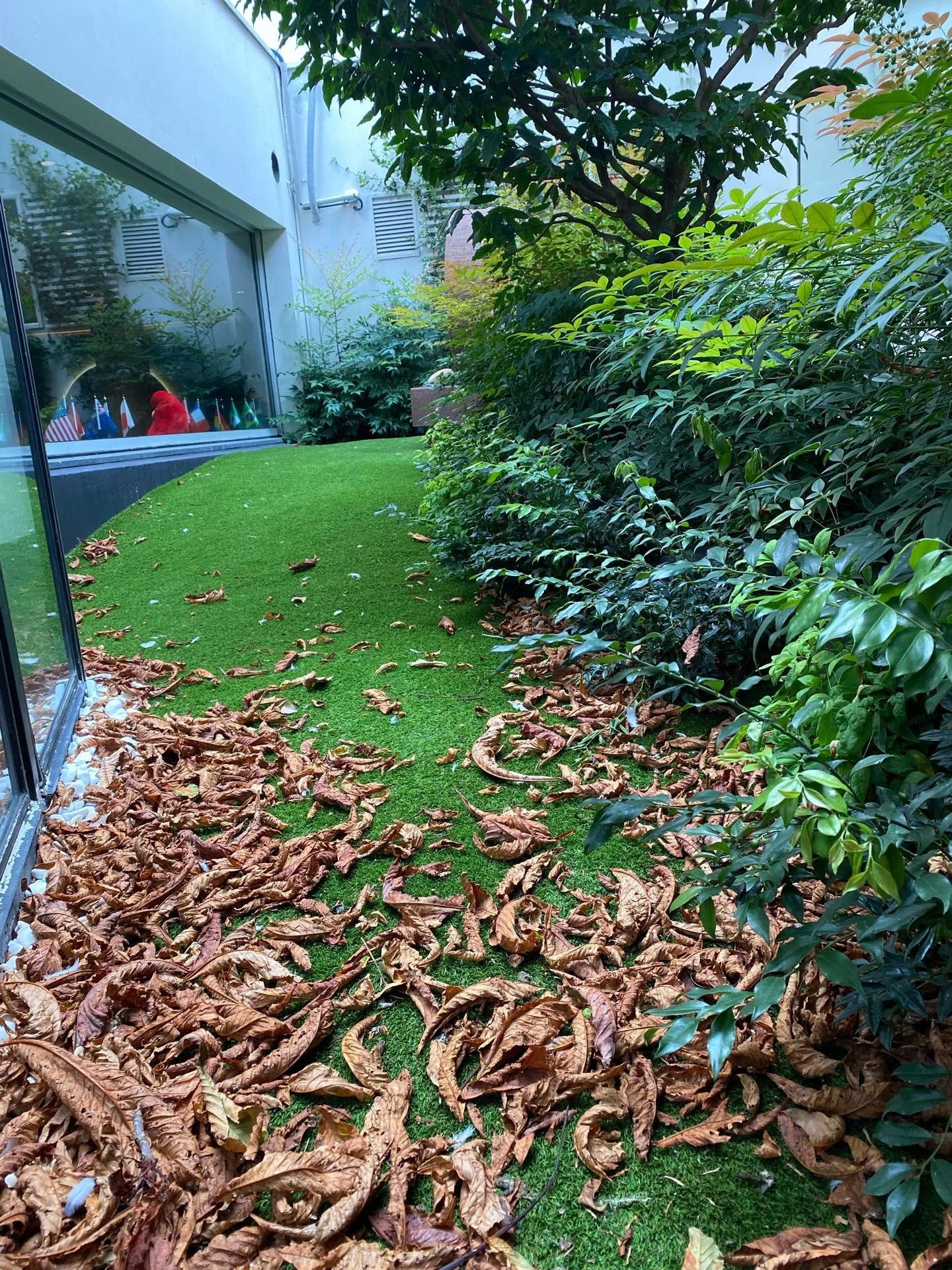 photo d'un gazon d'une entreprise avec des feuilles mortes au sol