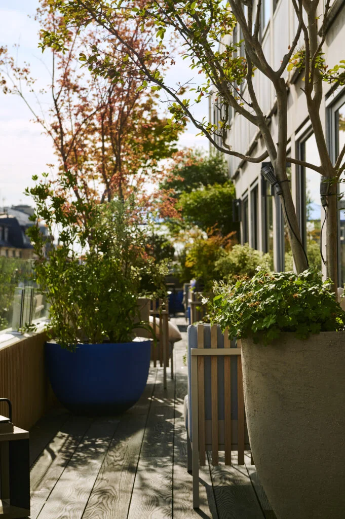 Photo d'une terrasse à Paris 8. Des pots Domani et des spots lumineux sur les végétaux
