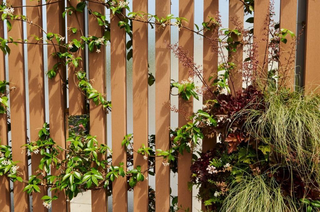 Photo d'un claustras en bois avec des plantes grimpantes