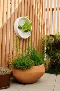 photo de d'un pot Atelier Vierkant sur un toit terrasse au Vésinet avec des claustras en bois et des pots muraux Pottery Pots