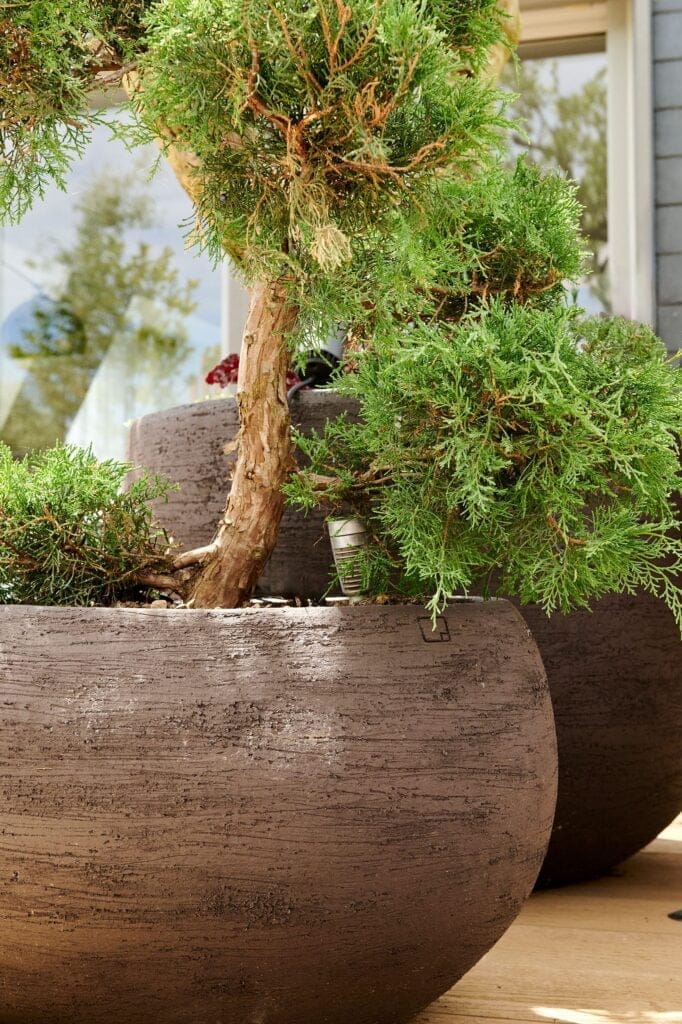 Photo d'un pot Atelier Vierkant avec un éclairage sur le végétal fait par Terrasse et Jardin de Paris