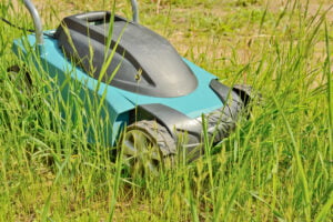 Photo d'un robot de tonte dans un jardin