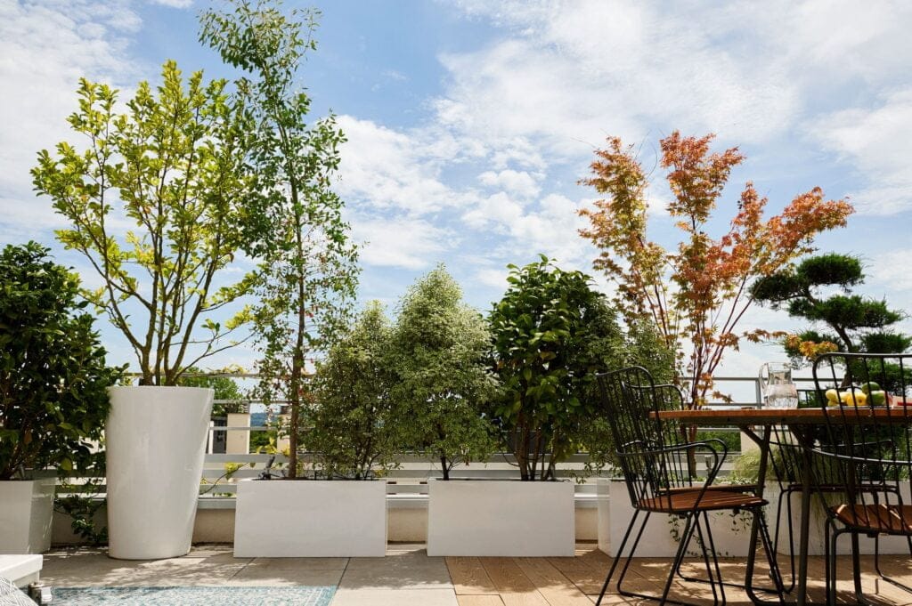 Photo d'un toit terrasse au Vésinet aménagé par les architectes paysagistes de Terrasse et Jardin de Paris