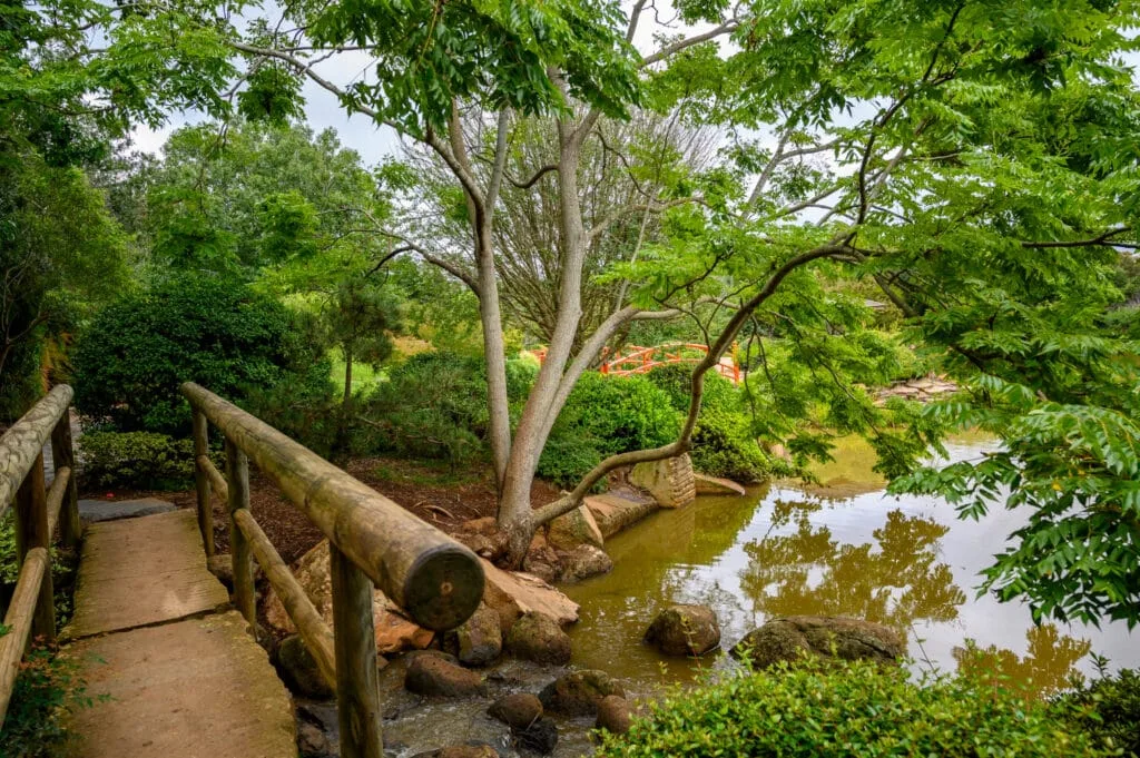 Photo d'un jardin avec un petit bassin