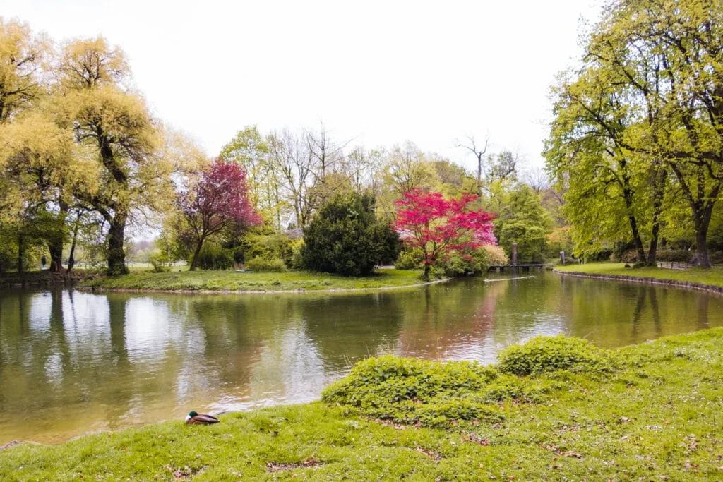 photo d'un jardin artistique avec un bassin