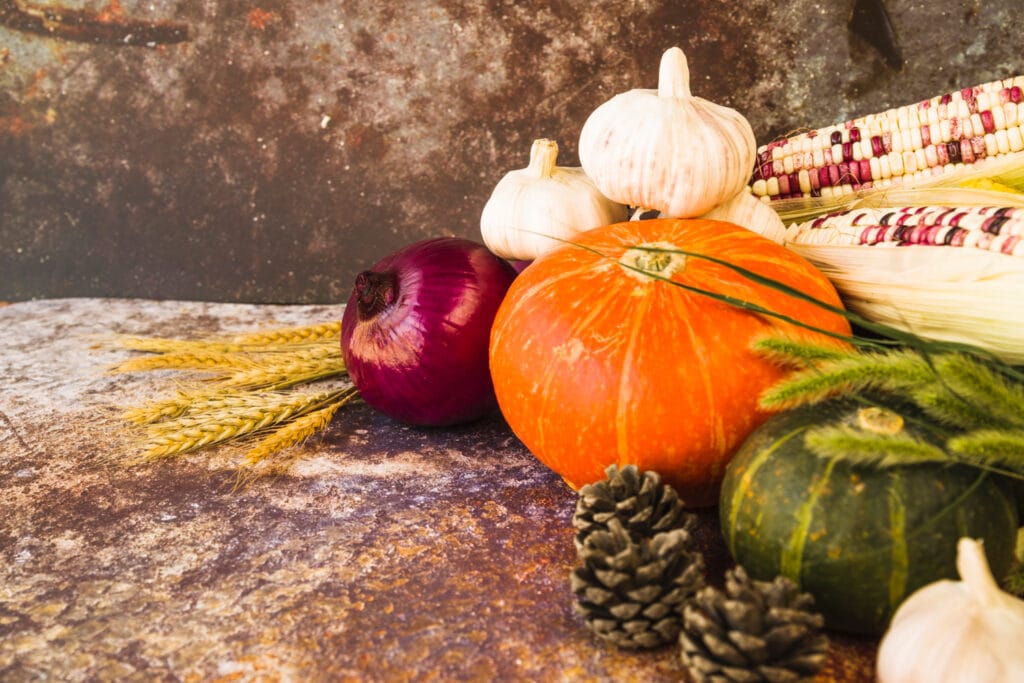 photo de légumes pour un potager