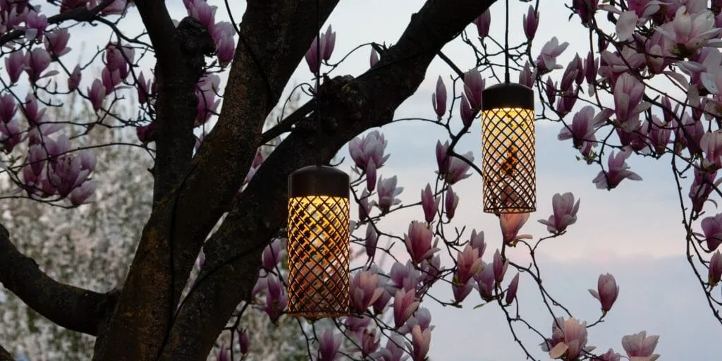 Photo de lanternes suspendues sur un arbre