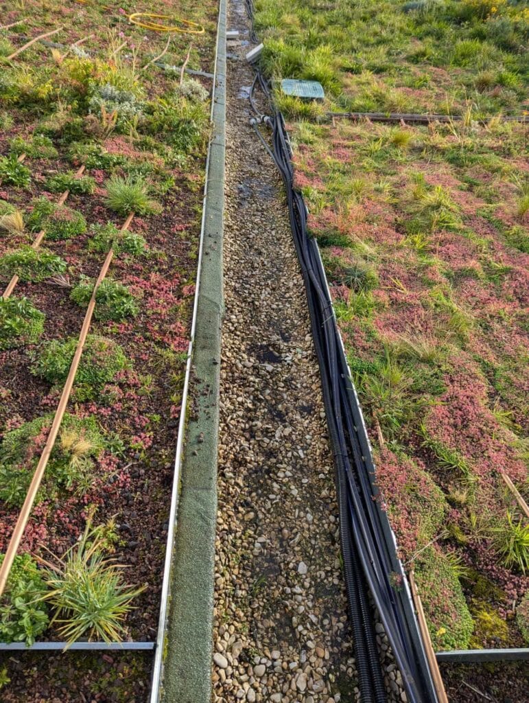 Photo d'une toiture végétalisée entretenu par Terrasse et Jardin de Paris Service