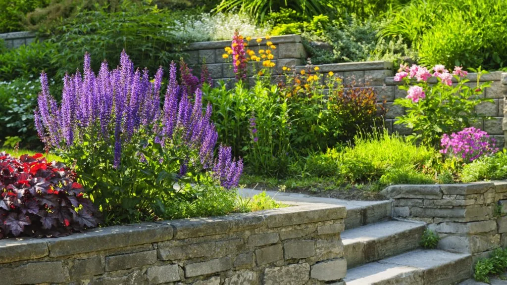 photo d'un aménagement de jardin avec un escalier en pierre