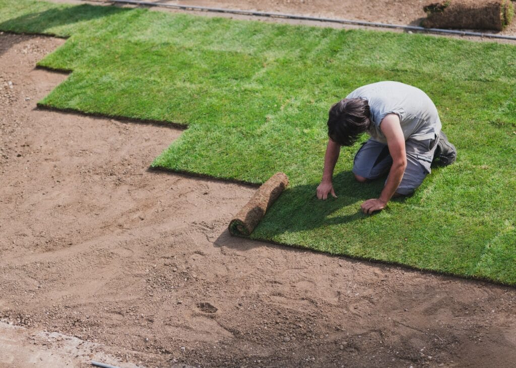 Solutions créatives pour l'aménagement de jardin en entreprise à Paris, optimisant les cours et terrasses.