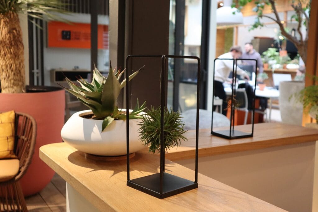 Collaborateurs concentré à son poste de travail à côté d'une plante d'intérieur apportant une touche de nature.